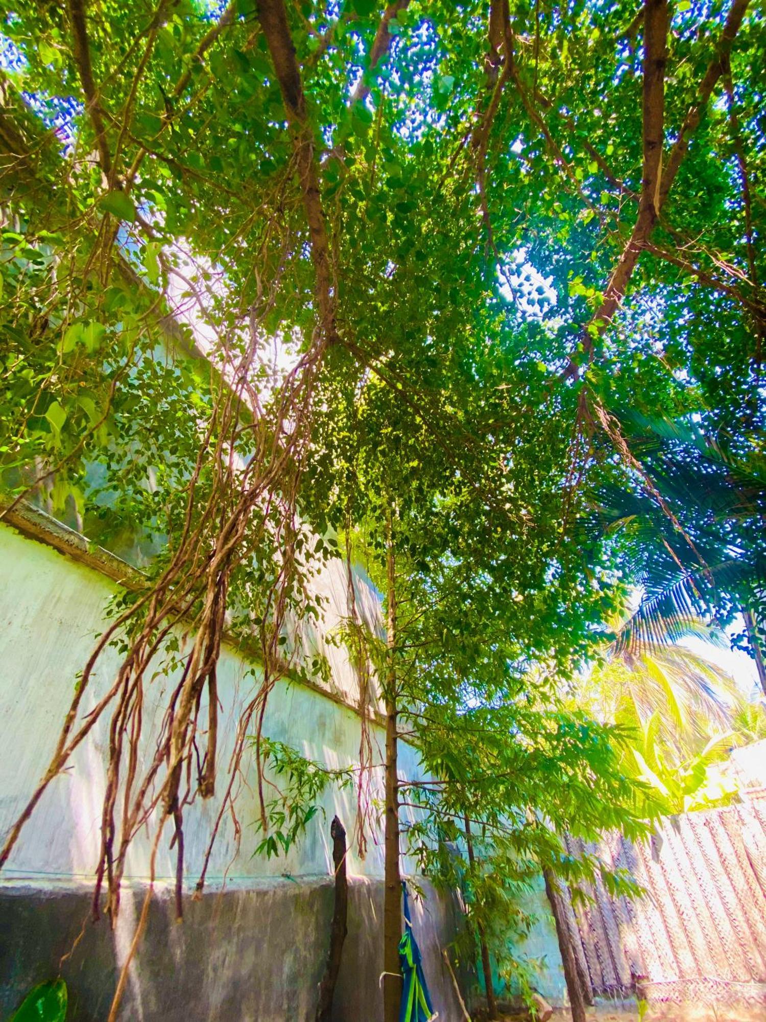 Marina Way Hotel Baía de Arugam Exterior foto
